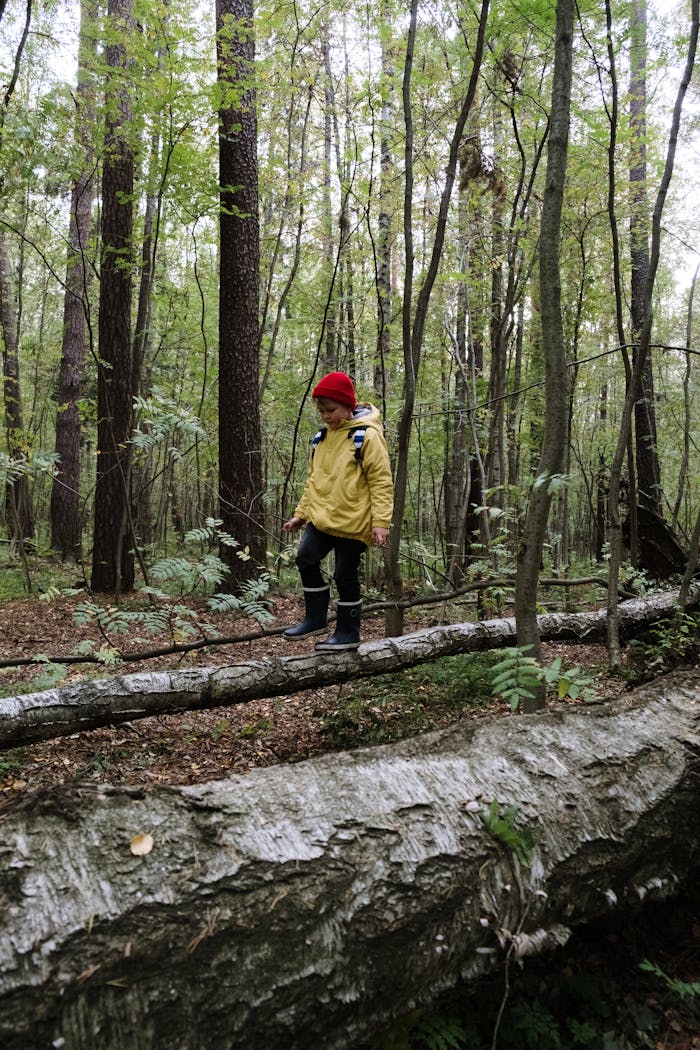 A child wearing a yellow jacket and red beanie balances on a fallen log in a dense forest.