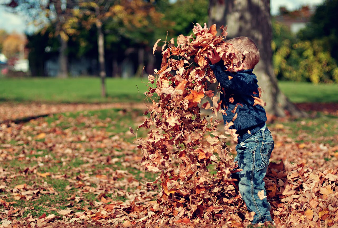 A young boy playing in a pile of colorful autumn leaves outdoors.